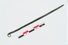 Foto von Bronzerollenkopfnadel (NHMW-PRAE-023962)